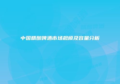 中国精酿啤酒市场规模及容量分析