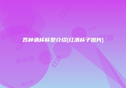 各种酒杯杯型介绍(红酒杯子图片)