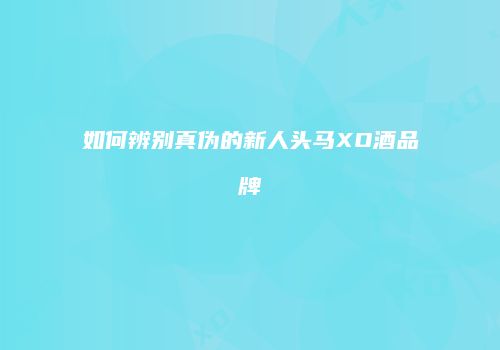 如何辨别真伪的新人头马XO酒品牌