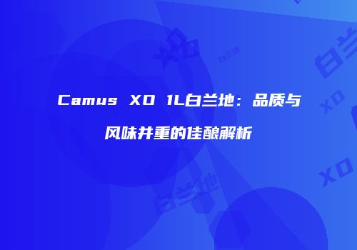 Camus XO 1L白兰地：品质与风味并重的佳酿解析