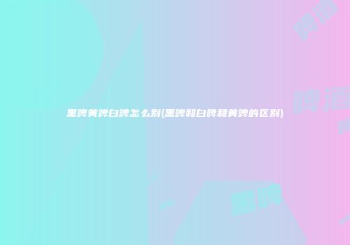 黑啤黄啤白啤怎么别(黑啤和白啤和黄啤的区别)