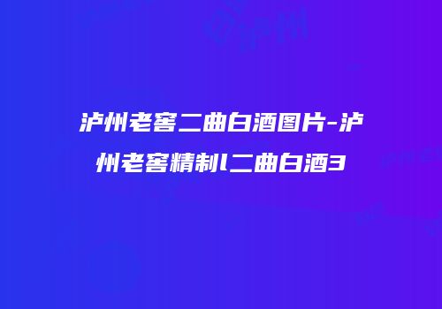 泸州老窖二曲白酒图片-泸州老窖精制l二曲白酒3