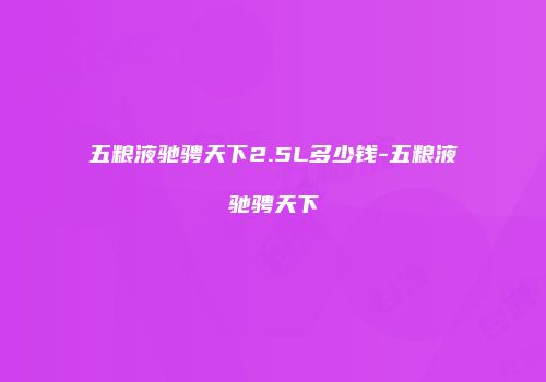 五粮液驰骋天下2.5L多少钱-五粮液驰骋天下