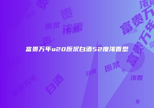 富贵万年u20原浆白酒52度浓香型
