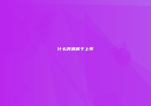 什么啤酒属于上等
