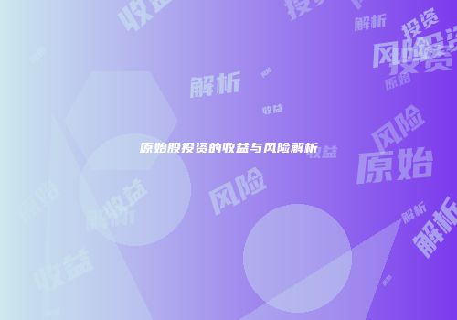 原始股投资的收益与风险解析