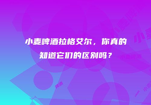 小麦啤酒拉格艾尔，你真的知道它们的区别吗？