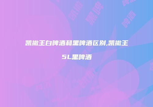 凯撒王白啤酒和黑啤酒区别,凯撒王5L黑啤酒