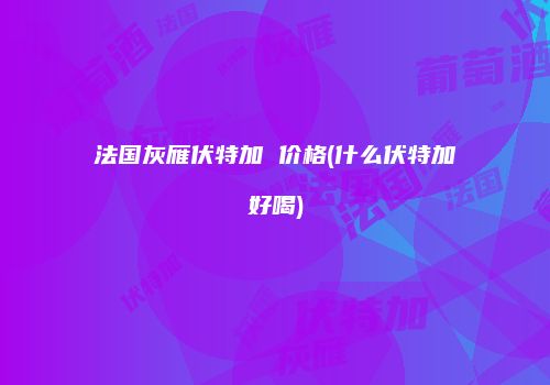 法国灰雁伏特加 价格(什么伏特加好喝)