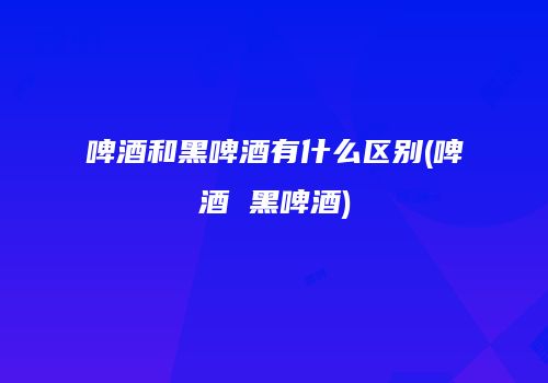 啤酒和黑啤酒有什么区别(啤酒 黑啤酒)