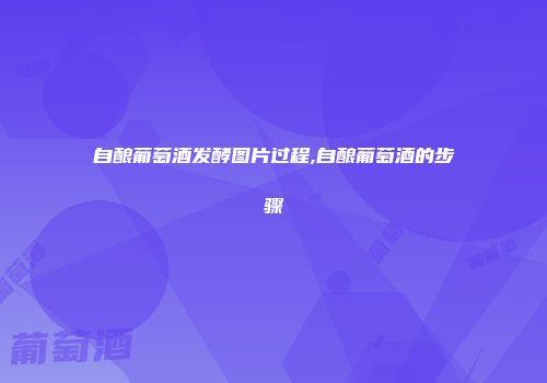 自酿葡萄酒发酵图片过程,自酿葡萄酒的步骤