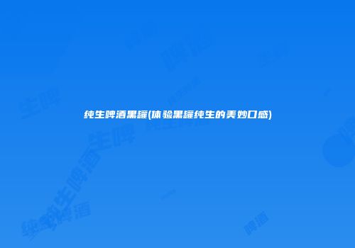 纯生啤酒黑罐(体验黑罐纯生的美妙口感)