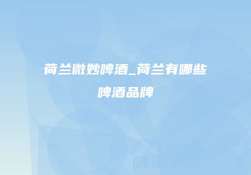 荷兰微妙啤酒_荷兰有哪些啤酒品牌