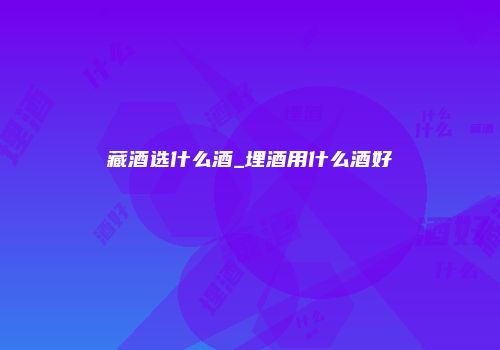 藏酒选什么酒_埋酒用什么酒好