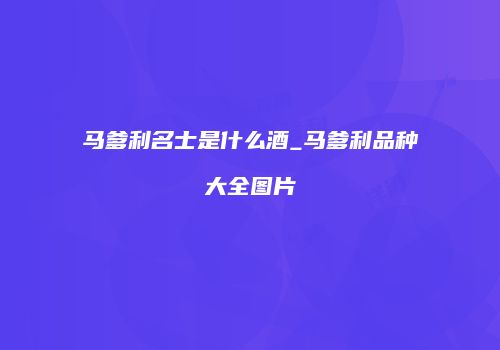 马爹利名士是什么酒_马爹利品种大全图片