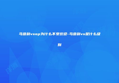 马爹利vsop为什么不受欢迎-马爹利vs是什么级别