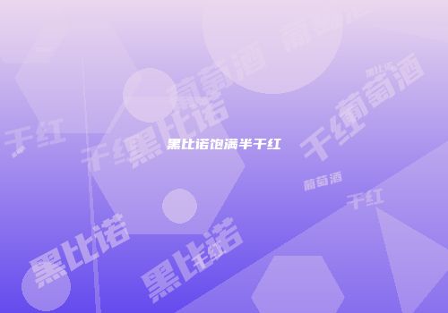 黑比诺饱满半干红