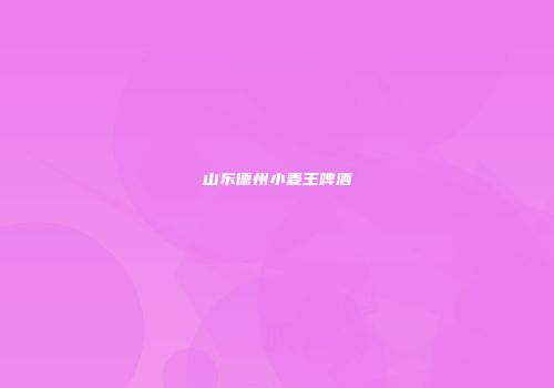 山东德州小麦王啤酒