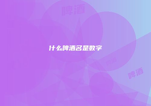 什么啤酒名是数字
