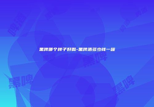 黑啤哪个牌子好喝-黑啤酒多少钱一罐