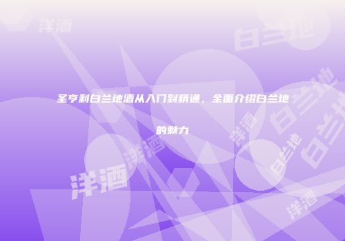 圣亨利白兰地酒从入门到精通，全面介绍白兰地的魅力