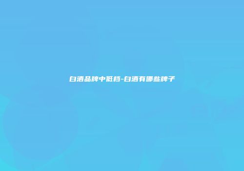 白酒品牌中低档-白酒有哪些牌子