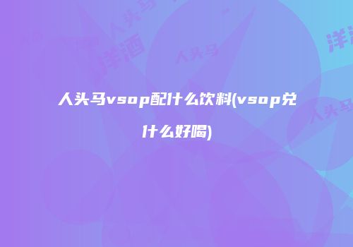 人头马vsop配什么饮料(vsop兑什么好喝)