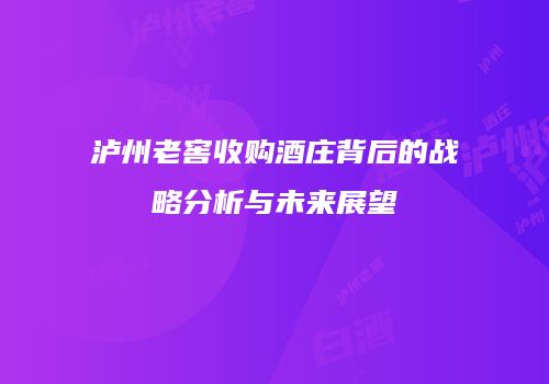 泸州老窖收购酒庄背后的战略分析与未来展望