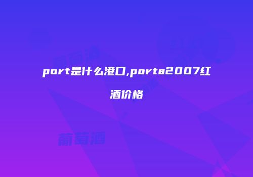 port是什么港口,porta2007红酒价格