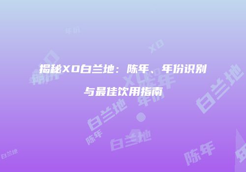 揭秘XO白兰地：陈年、年份识别与最佳饮用指南