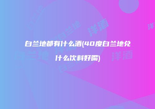 白兰地都有什么酒(40度白兰地兑什么饮料好喝)