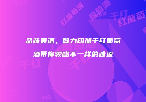 品味美酒，智力印加干红葡萄酒带你领略不一样的味道