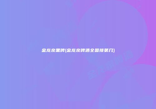 金龙泉黑啤(金龙泉啤酒全国排第几)
