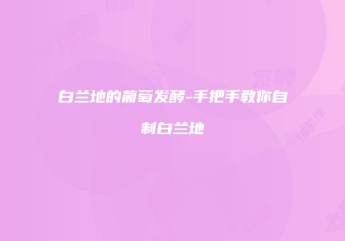 白兰地的葡萄发酵-手把手教你自制白兰地