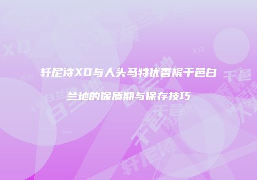 轩尼诗XO与人头马特优香槟干邑白兰地的保质期与保存技巧