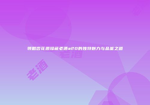 领略杏花源珍藏老酒a20的独特魅力与品鉴之道