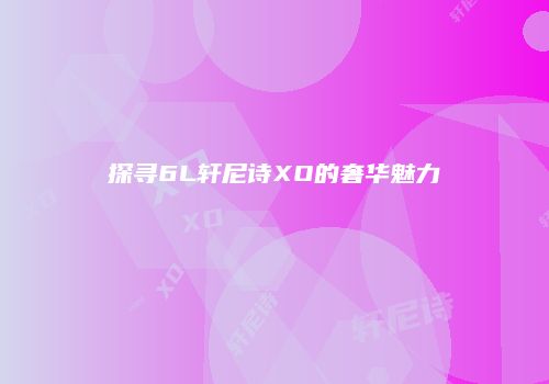 探寻6L轩尼诗XO的奢华魅力