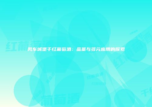 风车城堡干红葡萄酒：品鉴与多元应用的探索