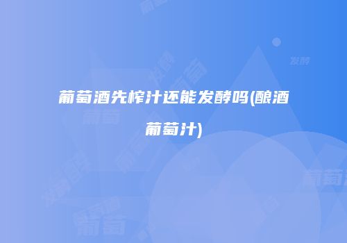 葡萄酒先榨汁还能发酵吗(酿酒葡萄汁)