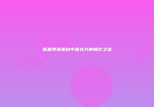 银麦啤酒来自中国北方的畅饮之选