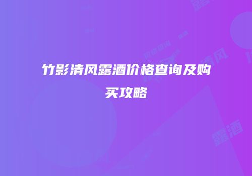 竹影清风露酒价格查询及购买攻略