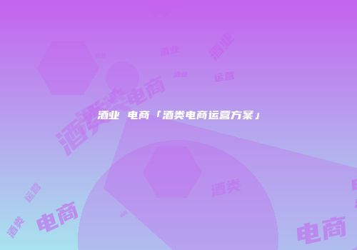 酒业 电商「酒类电商运营方案」