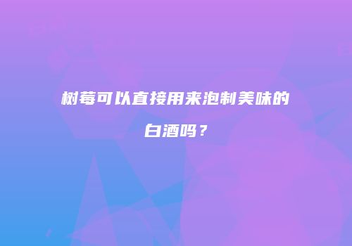 树莓可以直接用来泡制美味的白酒吗？