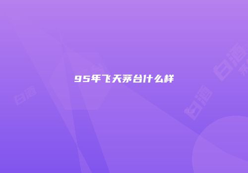 95年飞天茅台什么样