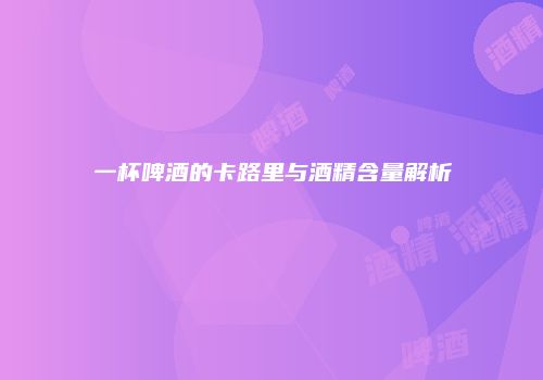 一杯啤酒的卡路里与酒精含量解析
