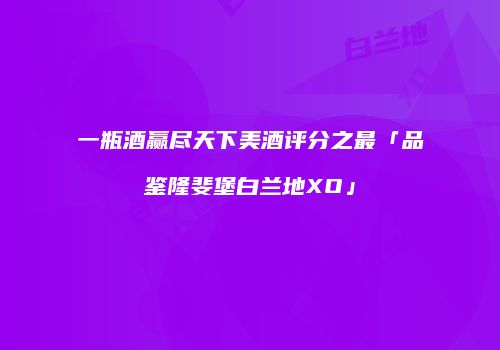 一瓶酒赢尽天下美酒评分之最「品鉴隆斐堡白兰地XO」