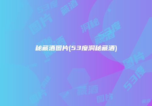 秘藏酒图片(53度洞秘藏酒)