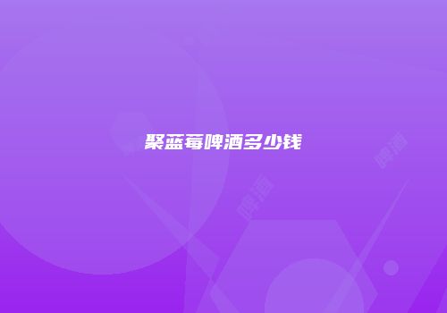 聚蓝莓啤酒多少钱