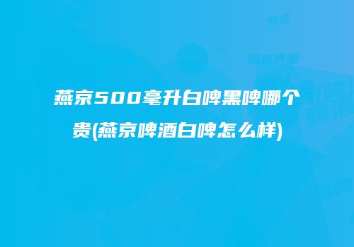 燕京500毫升白啤黑啤哪个贵(燕京啤酒白啤怎么样)