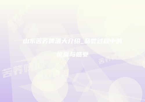 山东苦荞啤酒大介绍_品尝过程中的惊喜与感受